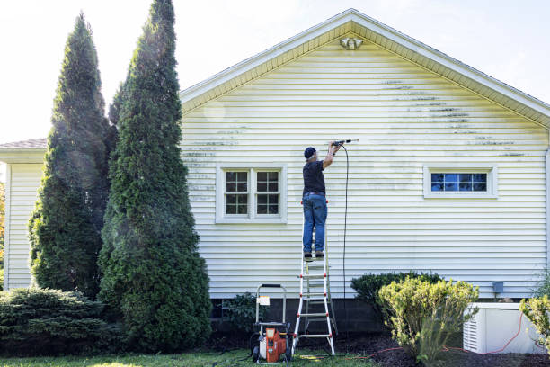 Best Building Exterior Washing  in La Honda, CA
